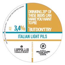 Carica l&#39;immagine nel visualizzatore di Gallery, Drinking 20* of these beers can make you want to pee. *but don&#39;t try. Box 12 lattine 33 cl ONE SHOT
